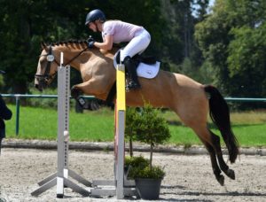 DSC_7012 - Kopie