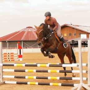 IMG-20260123-WA0018